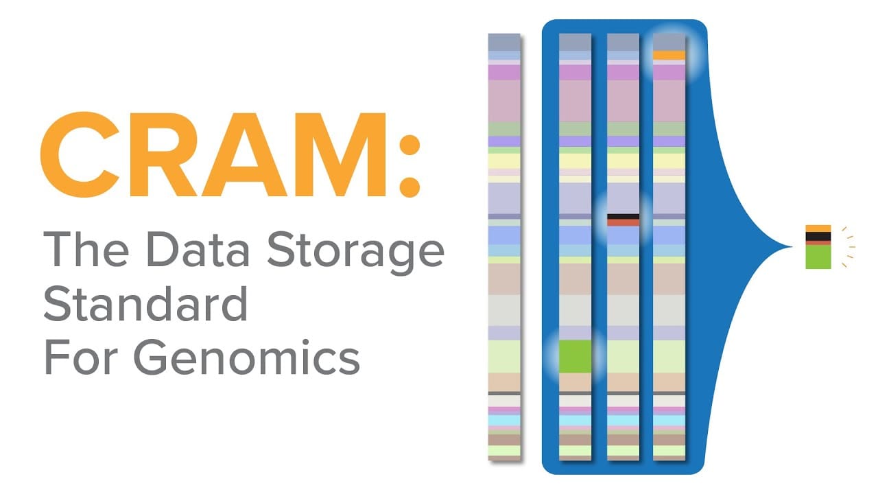 Visual Storage Data Visualising data storage - Sci Ani